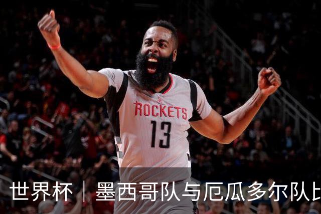 世界杯｜墨西哥队与厄瓜多尔队比赛因雷雨延迟