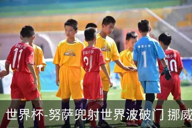 世界杯-努萨兜射世界波破门 挪威半场暂1-0科特迪瓦
