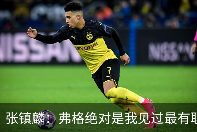 张镇麟：弗格绝对是我见过最有职业素养和团队精神的球员